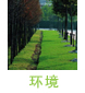 环境